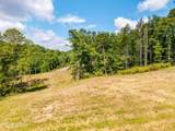  Waldens Creek Rd - Photo 4