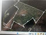 850 Lick Hollow Drive - Photo 2