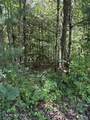 850 Lick Hollow Drive - Photo 3
