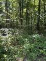 850 Lick Hollow Drive - Photo 4
