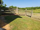 2734 Tennessee 39 Hwy - Photo 14