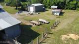 2734 Tennessee 39 Hwy - Photo 6