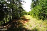 00 Rhyne Camp Rd - Photo 18