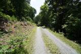 00 Rhyne Camp Rd - Photo 21