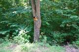 00 Rhyne Camp Rd - Photo 22