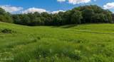 00 Rhyne Camp Rd - Photo 49