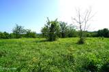 00 Old Greeneville Hwy - Photo 11