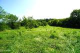 00 Old Greeneville Hwy - Photo 15