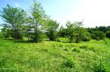 00 Old Greeneville Hwy - Photo 17