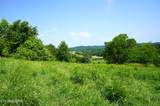 00 Old Greeneville Hwy - Photo 20