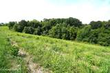 00 Old Greeneville Hwy - Photo 23