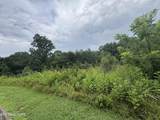 Lot 2 Malea Lane - Photo 4