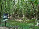  Lot 177 Moonstone Lane - Photo 2