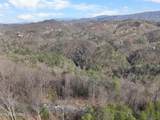 Lot 0025 Black Walnut Flats Rd - Photo 18