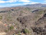 Lot 16 Black Walnut Flats Rd - Photo 19