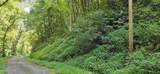 Lot 28 Black Walnut Flats Rd - Photo 1