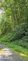 Lot 28 Black Walnut Flats Rd - Photo 2