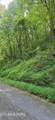 Lot 29 Black Walnut Flats Rd - Photo 3