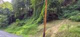 Lot 0039 Black Walnut Flats Rd - Photo 1