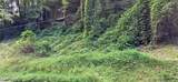 Lot 0039 Black Walnut Flats Rd - Photo 2