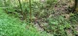 Lot 15 Emerald Springs Loop - Photo 6