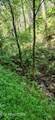 Lot 15 Emerald Springs Loop - Photo 7