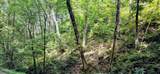 Lot 15 Emerald Springs Loop - Photo 8