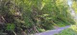 Lot 0005 Sugar Maple Loop Rd - Photo 4