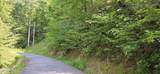 Lot 0024 Sugar Maple Loop Rd - Photo 1