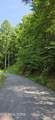 Lot 0024 Sugar Maple Loop Rd - Photo 2