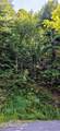 Lot 0024 Sugar Maple Loop Rd - Photo 6