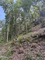 Reagan Springs Rd - Photo 8
