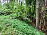  Vann Drive - Photo 6