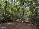 1007 Old Cades Cove Rd - Photo 27