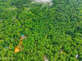 1007 Old Cades Cove Rd - Photo 41