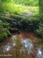 18.5 acres Raccoon Ridge Rd - Photo 1