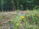 18.5 acres Raccoon Ridge Rd - Photo 14