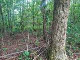 18.5 acres Raccoon Ridge Rd - Photo 15