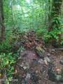 18.5 acres Raccoon Ridge Rd - Photo 3