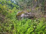 18.5 acres Raccoon Ridge Rd - Photo 5