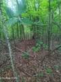 18.5 acres Raccoon Ridge Rd - Photo 6