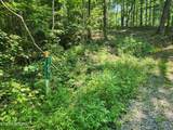 169 Woods Hollow Lane - Photo 5