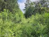 340 Swadis Drive - Photo 4