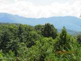 1695 Cane Creek Mountain Rd - Photo 42