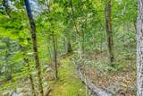 733 Cavern Rd - Photo 49