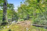 733 Cavern Rd - Photo 50