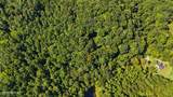 Tract 2R-3 Cold Springs Rd - Photo 15