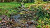 Tract 2R-3 Cold Springs Rd - Photo 3