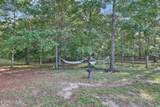 1463 Nichol Creek Drive - Photo 31