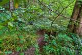 3211 Old Mountain Rd - Photo 40
